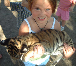Zoo Photos